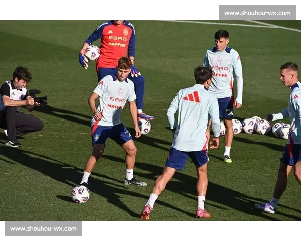 埃尔南德斯兄弟：世界杯荆棘路上的兄弟羁绊